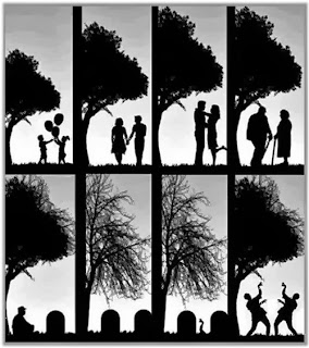 life cycle of zombie funny