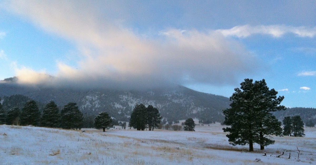 Impression Evergreen Colorado Christmas
