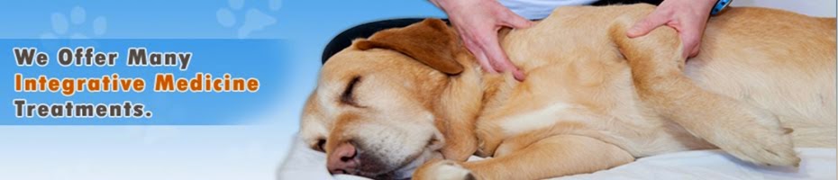 Canine Tumors | Angel Care Cancer Center (760) 431-2273