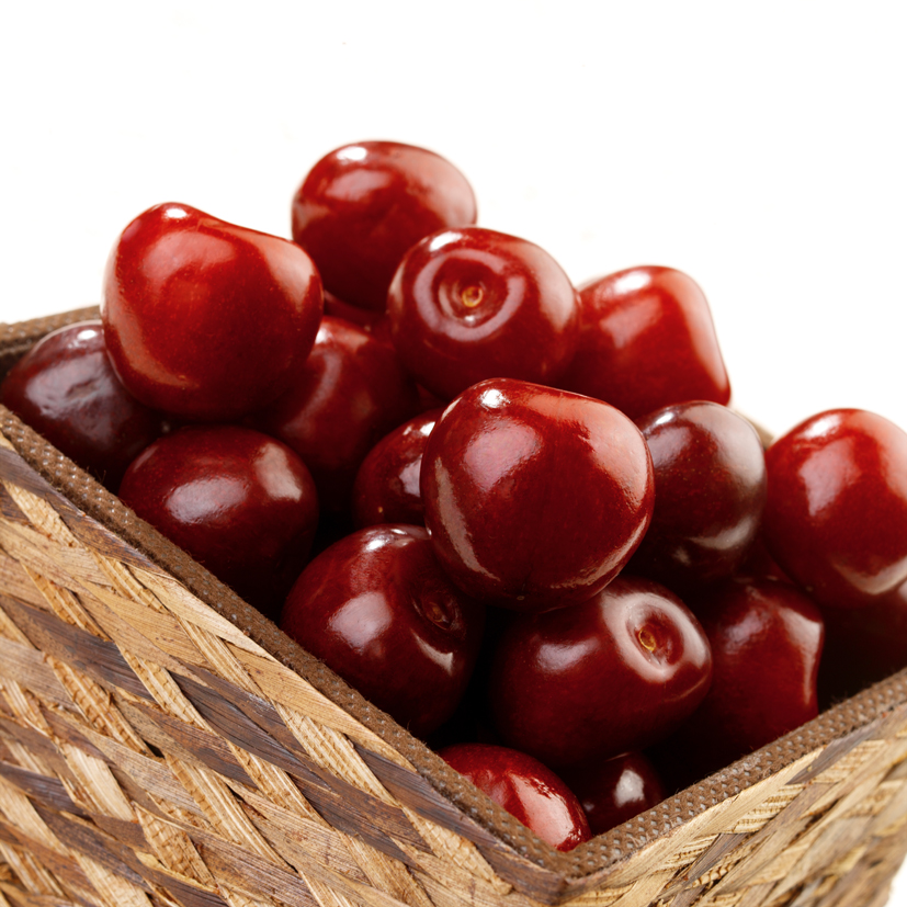 Jenny Eatwell's Rhubarb & Ginger Chocolate & Cherry Pots using