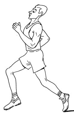 Latihan Kardio