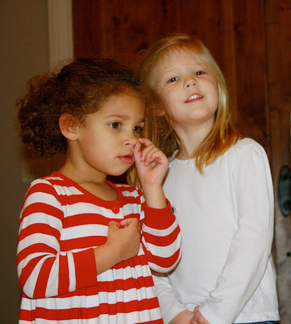 Sierra's View: A Few Christmas Poems