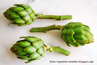 benefits of eating artichokes benefits_of_eating_artichokes_fruits-vegetables-benefits.blogspot.com(8)