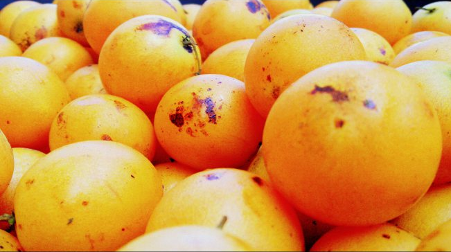 Cara Membuat Es Buah Gandaria | yuuks kenalan sama kuliner khas ambon bonus resep jus Cara Membuat Es Buah Gandaria | yuuks kenalan sama kuliner khas ambon bonus resep jus