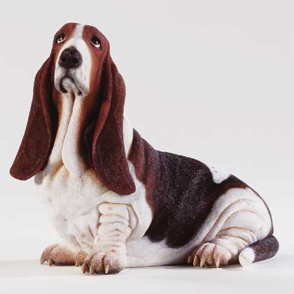 Basset Hound Puppies on Basset Hound Puppies Wallpapers And Dogs Pictures Images Photos