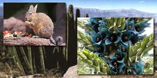 Flora Y Fauna De La Libertad