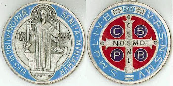 Cruz del Santo Padre Benito.