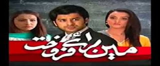 Mein Baraye Farokht Episode 89 on PTV Home1st August 2015