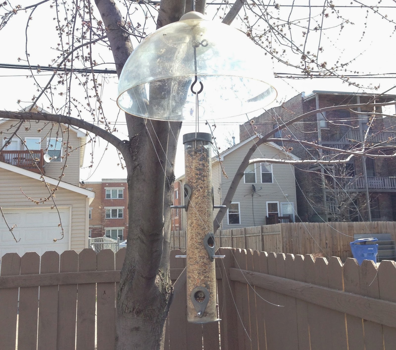 how to keep sparrows off your birdfeeder john fixes stuff how to keep sparrows off your birdfeeder john fixes stuff