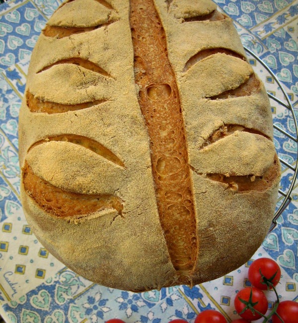 PANE DI SEMOLA RIMACINATA SENATORE CAPPELLI