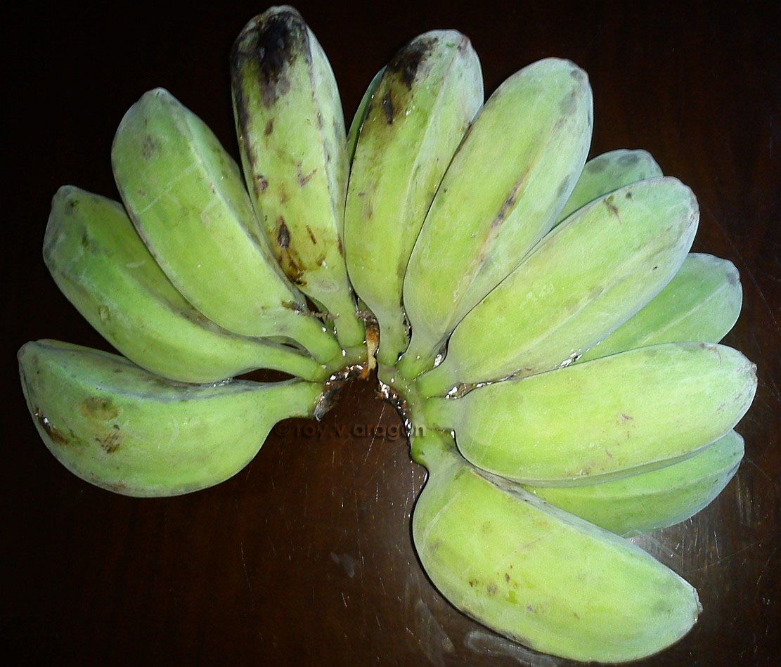 dinengdeng a saba! banana/plantain stew ~ PINAKBET REPUBLIC
