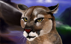 Florida Panther