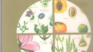 Atlas de Botanica Domenech | Ciencias Naturales