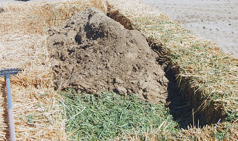 Marti Muses and Marvels How to Make Straw Bale Raised Bed Gardens