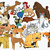 Cachorros e gatos vetorizados