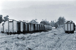 Vehículos vacíos destino Tandil