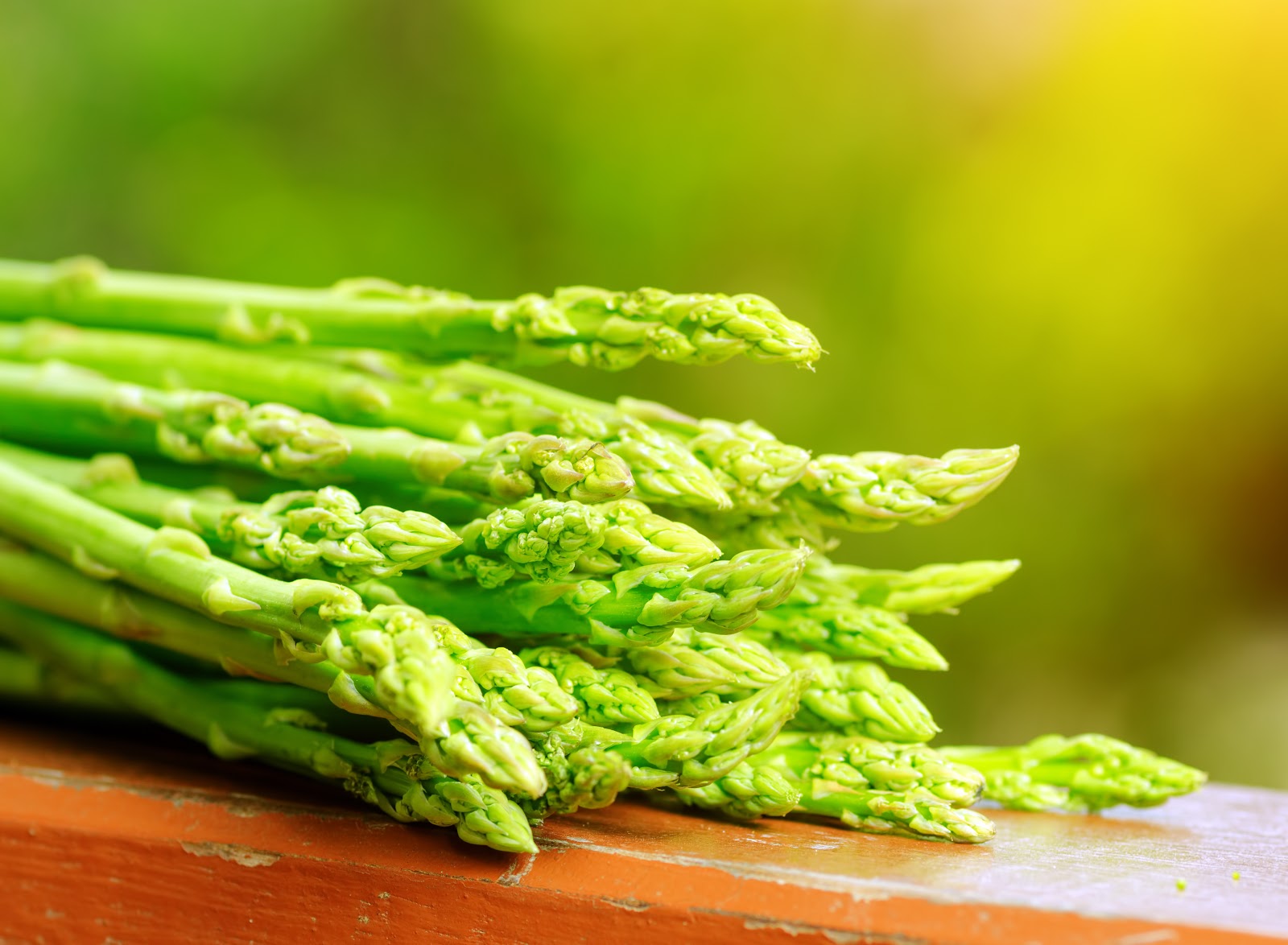 Healthy Plate 5: Astonishing Asparagus Healthy Plate 5: Astonishing Asparagus