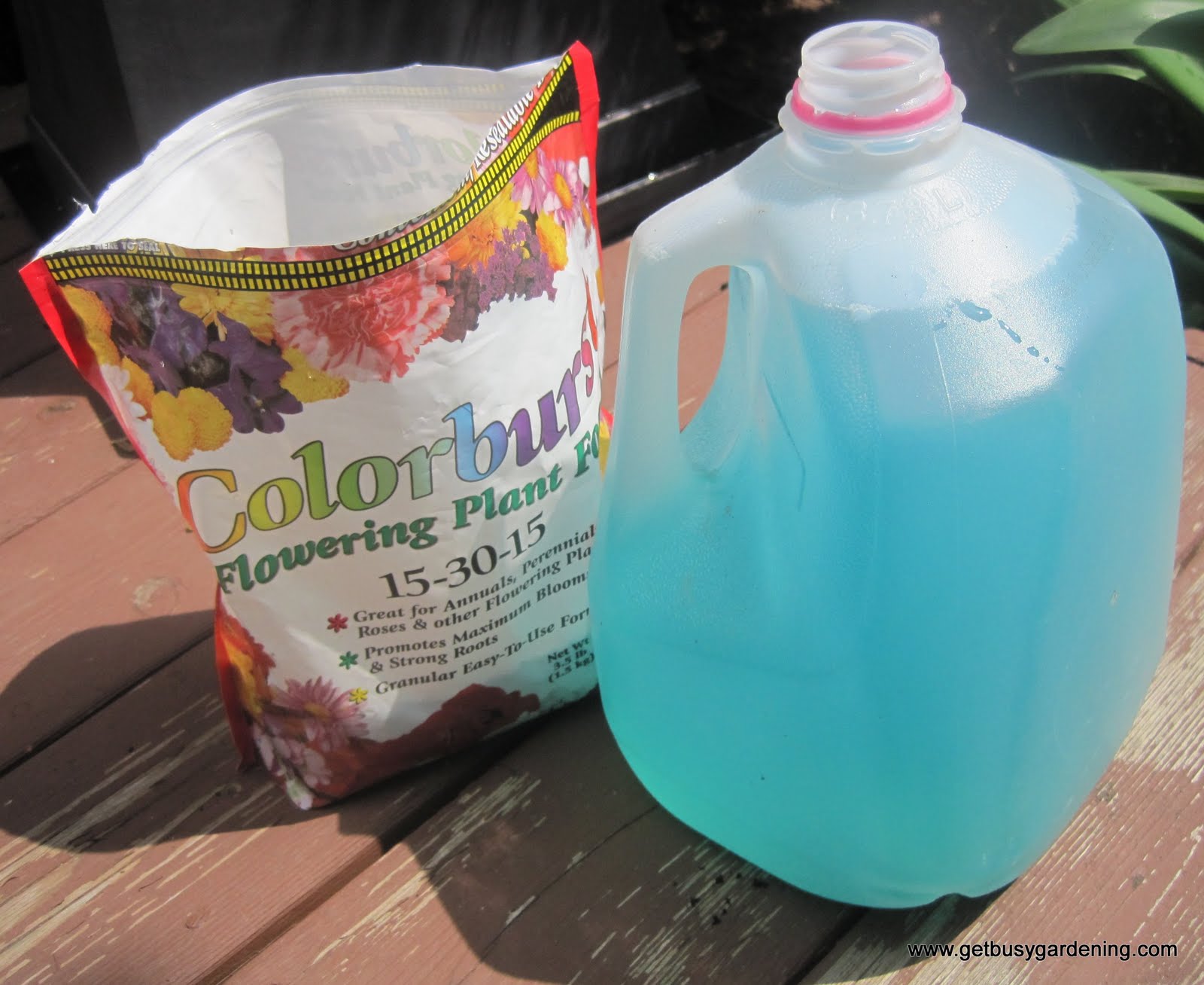 Give Your Potted Plants a Boost Get Busy Gardening