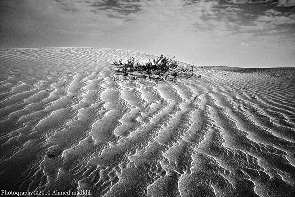 رسائل من السجن الجميل خاطرة حول آية و ج ع ل ن ا ب ع ض ك م ل ب ع ض ف ت ن ة أ ت ص ب ر ون و ك ان ر ب ك ب ص ير ا