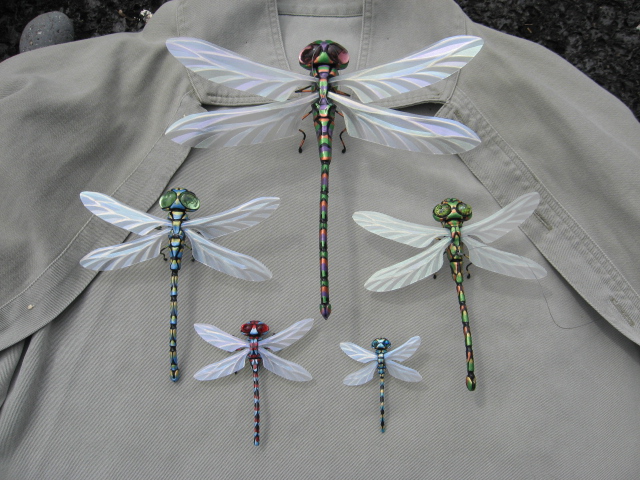 Dragonfly+wingspan
