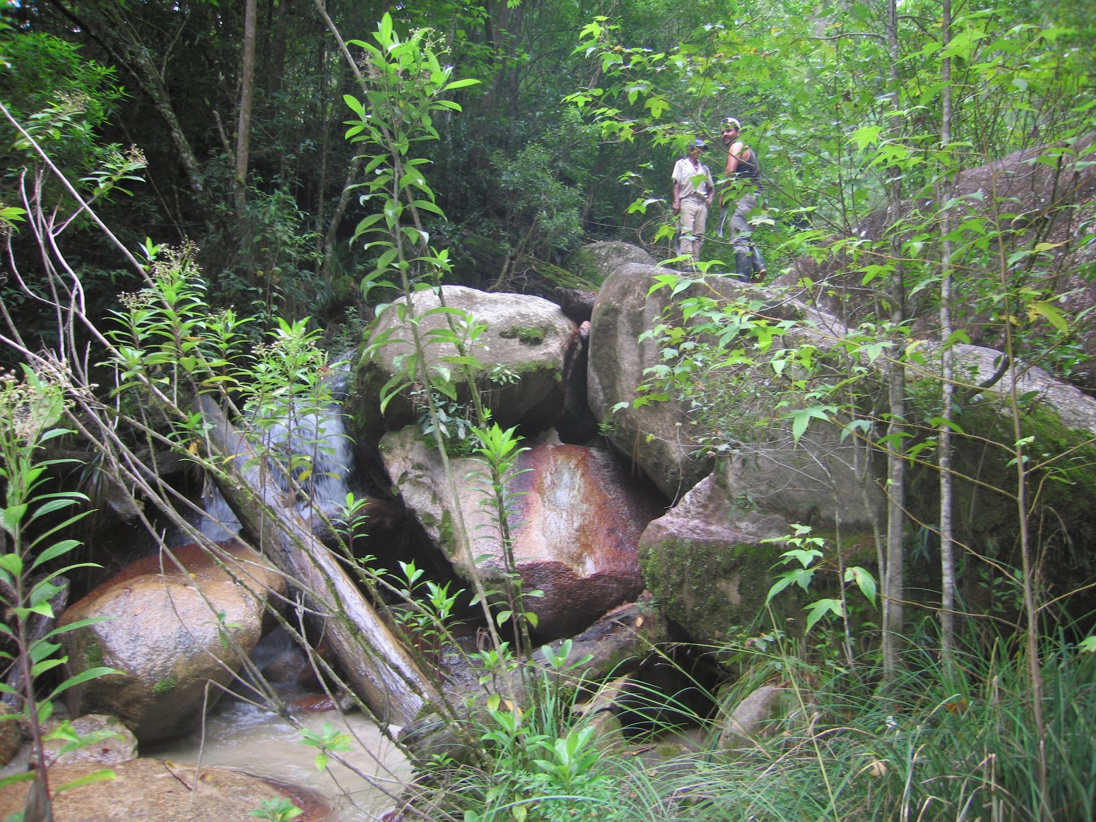 Punto mas alto de Nicaragua (Mogoton 2,107 msnm)