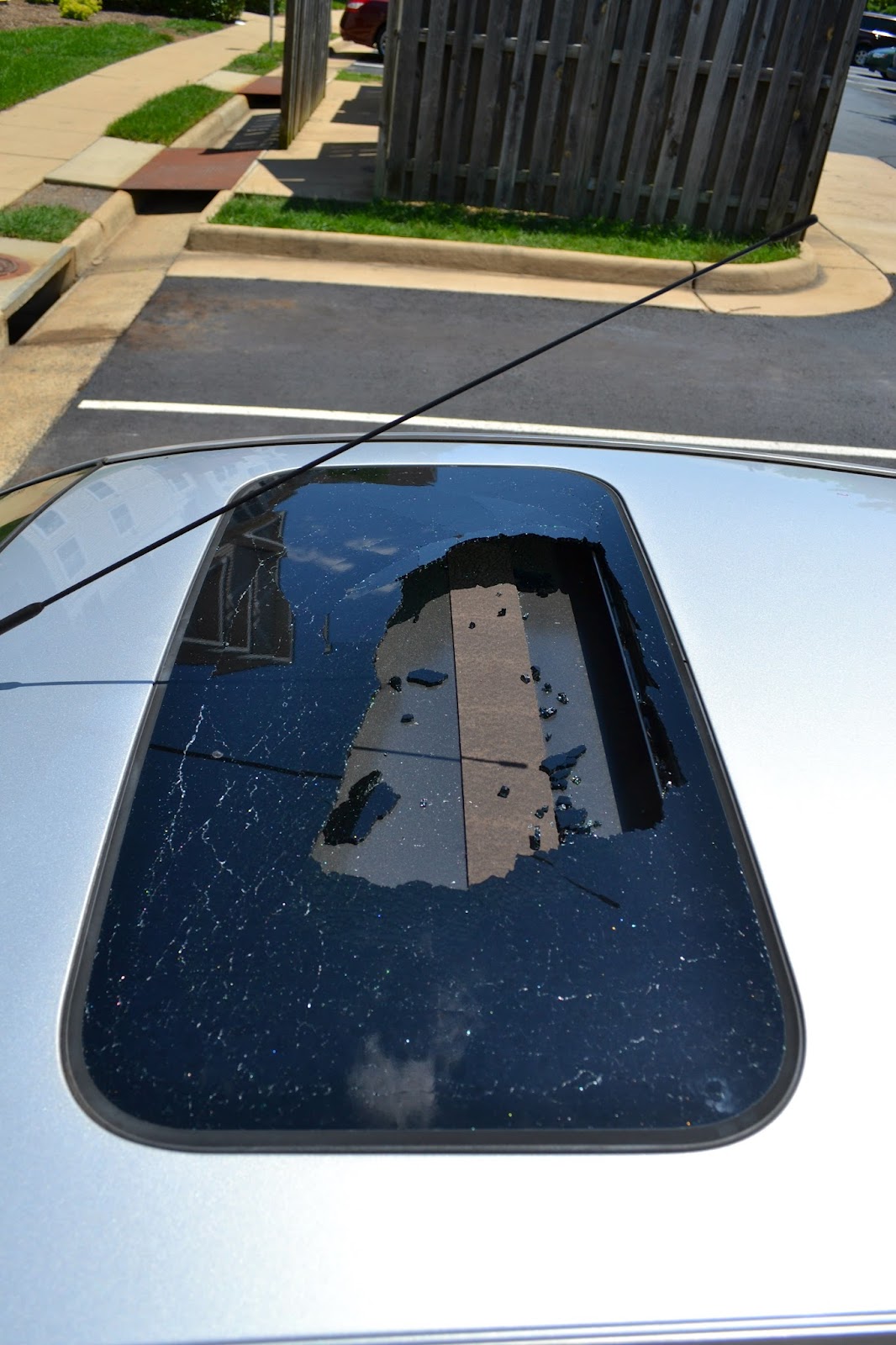 Snapshot Sunday Sunshine, Strawberries, and a Shattered Sunroof