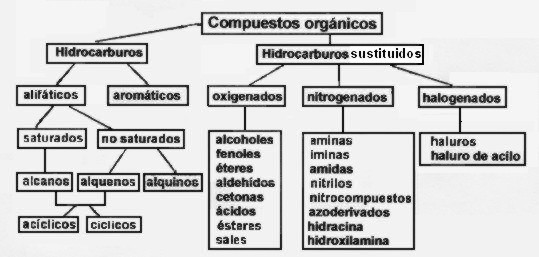 cadenas carbonadas mapa conceptual quimica4 programa de estudios quimica iv cadenas carbonadas mapa conceptual quimica4 programa de estudios quimica iv