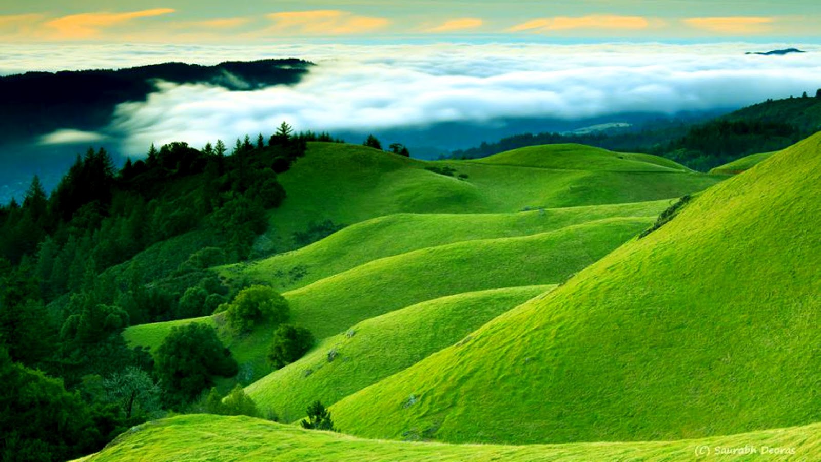 Top 41 Most Beautiful And Most Dashing GRASS Wallpapers In HD