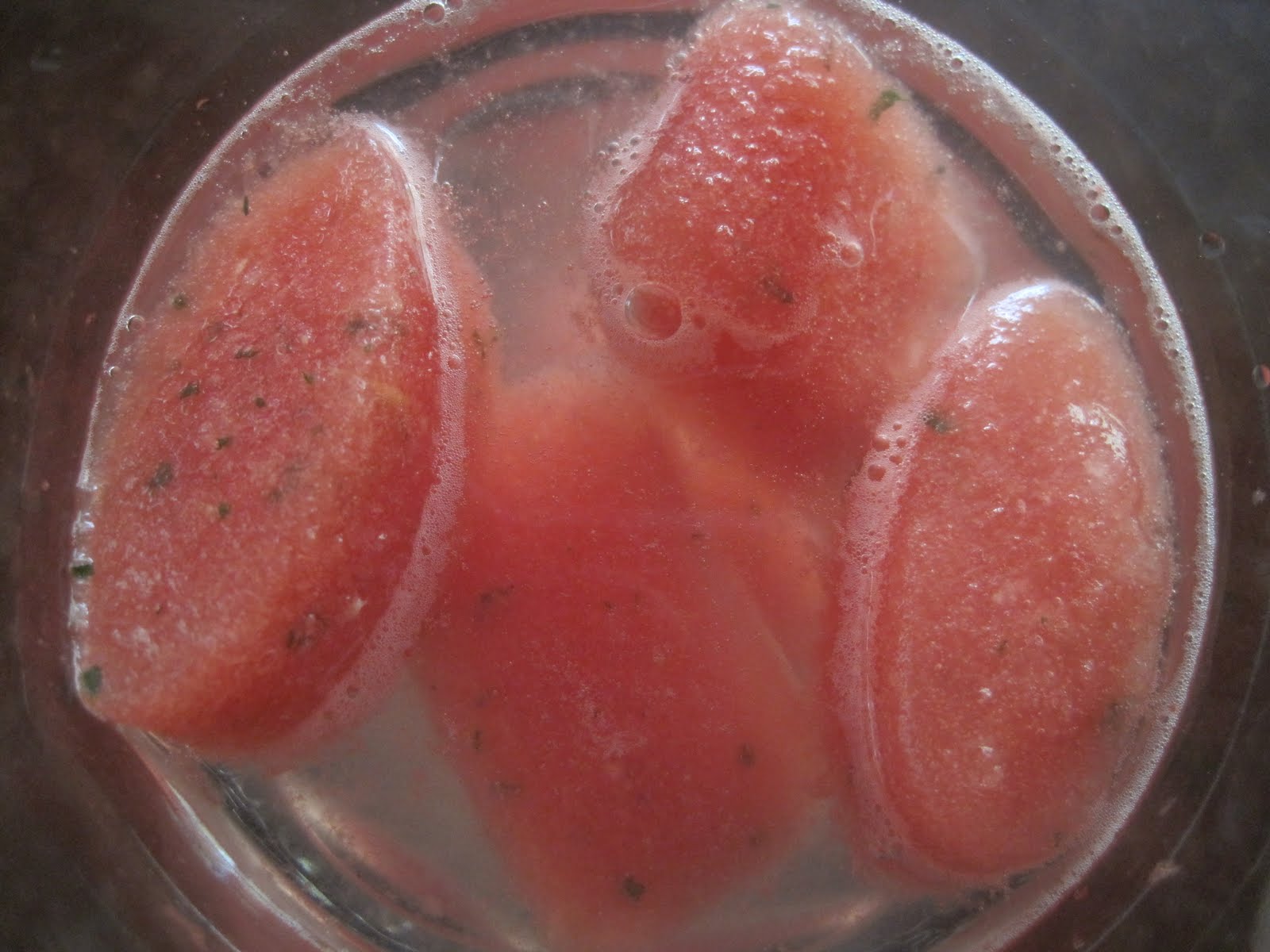 Watermelon Mint Slushie Perfect for Pregnancy