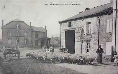 Les moutons-Vendresse-1905