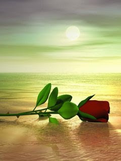 Natural Mobile Wallpapers Hd 240x320 Love Free Download Animated Hd