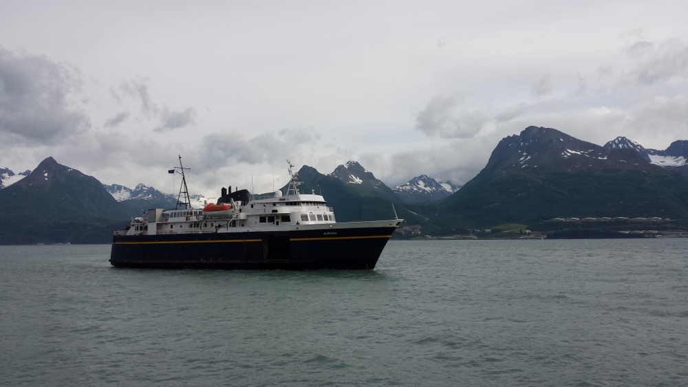 Living and Dyeing Under the Big Sky Ferry Ride Valdez to Whittier, AK