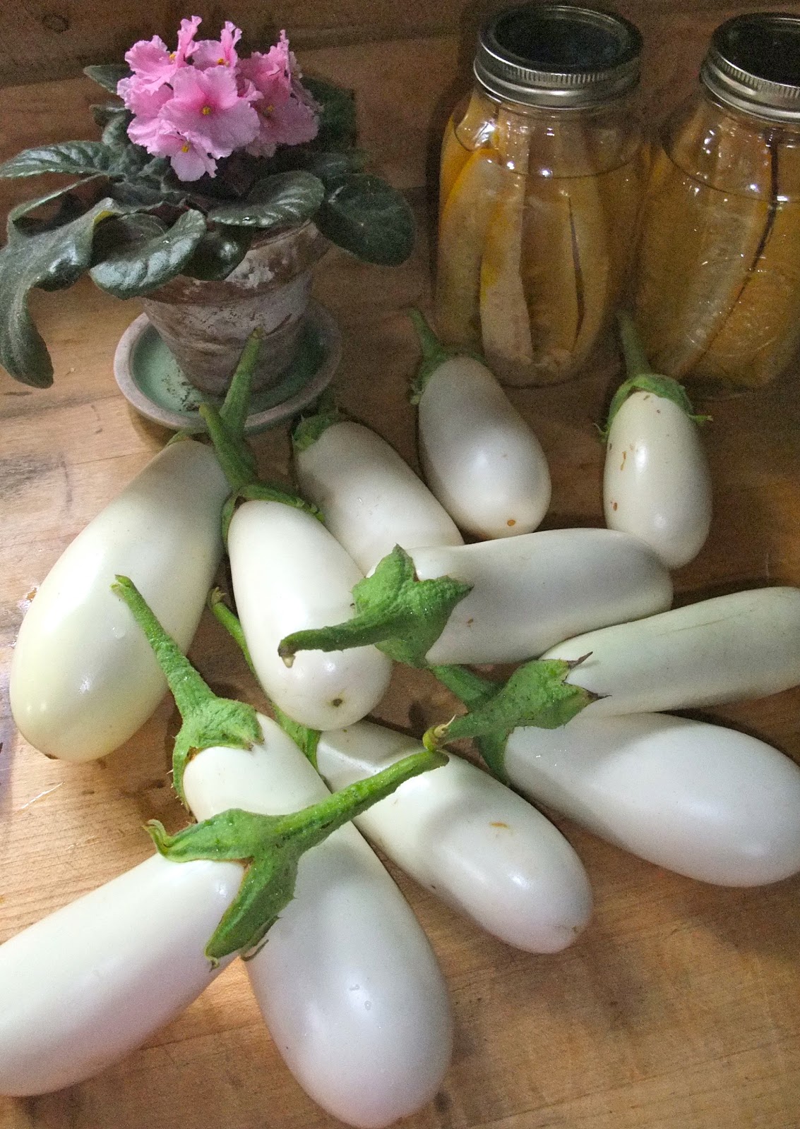 Preserved and Pickled PRESERVED EGGPLANT ITALIAN STYLE