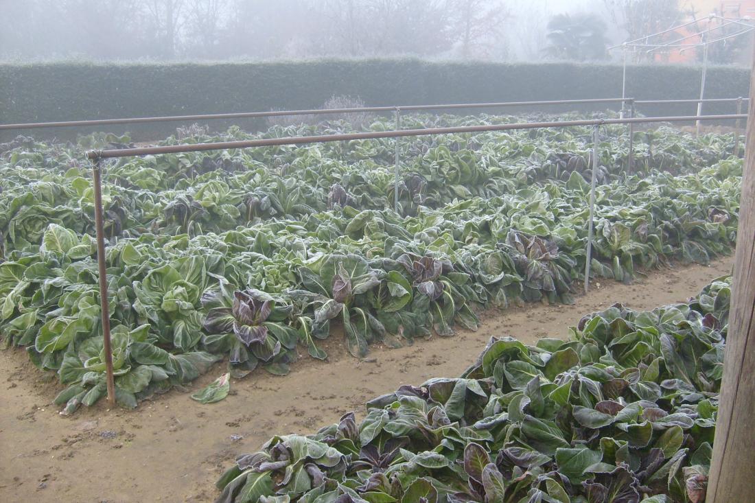 Blogredire: novembre 2011