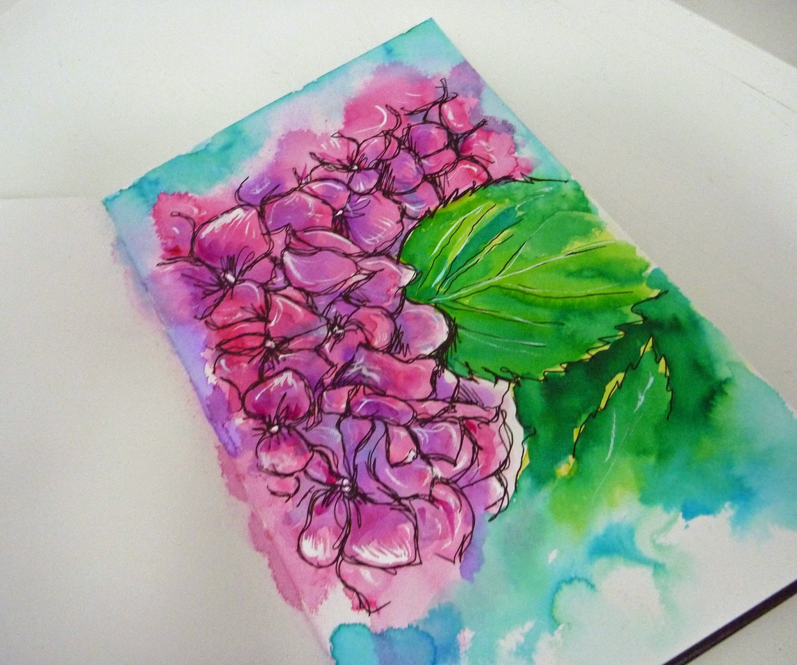 Giant Hydrangea Hortensia Pictures