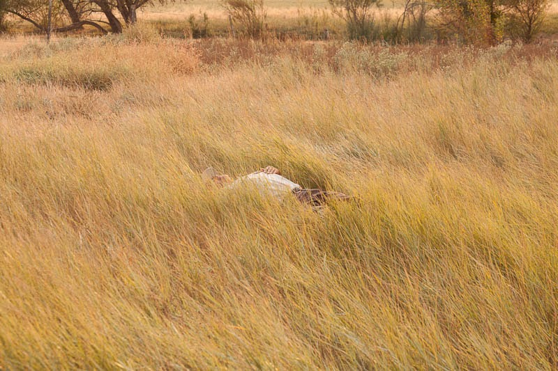 Grazing the Grasslands and Allan Savory's TED Talk