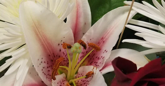 being brought to maturity