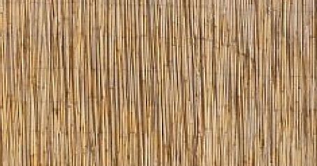 APUNTES - REVISTA DIGITAL DE ARQUITECTURA: Arquitexturas - Techos y