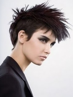 Short Hairstyle Of 2011 New Short Punk Hairstyles 2011