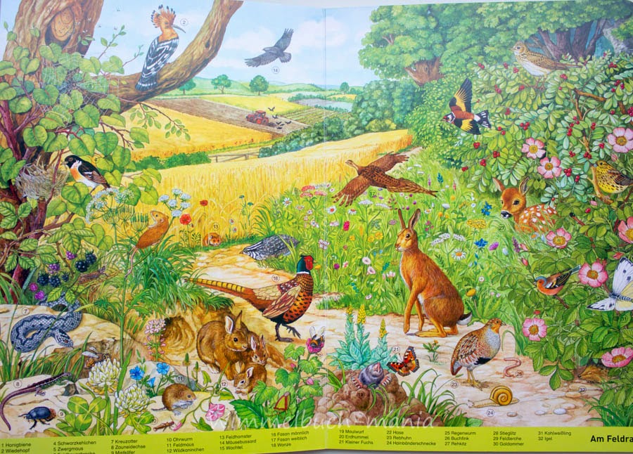 Mein großes Wimmelbuch Tiere by Anne Suess развороты