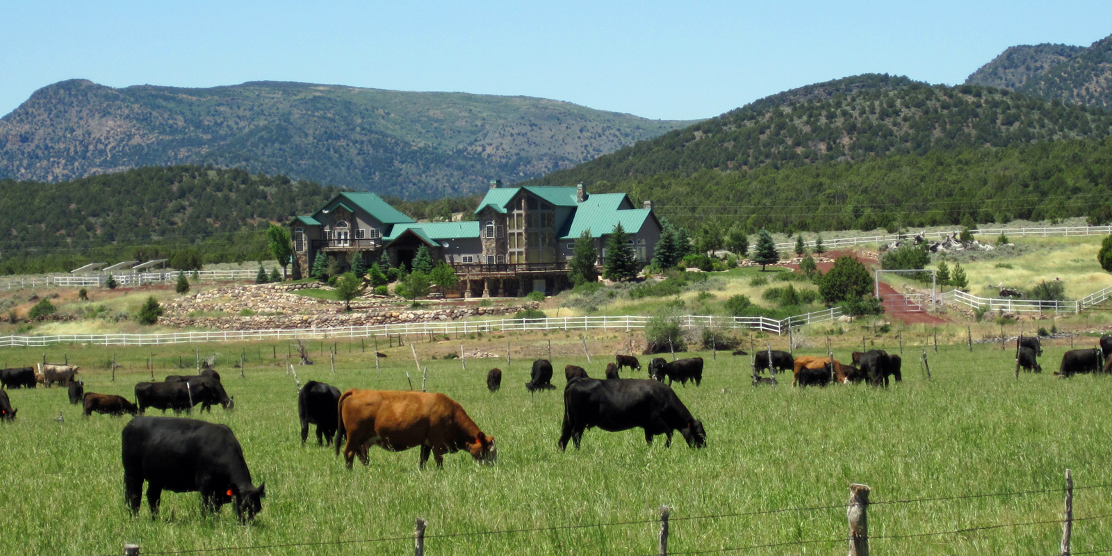 FisherDad Pine Valley, Utah