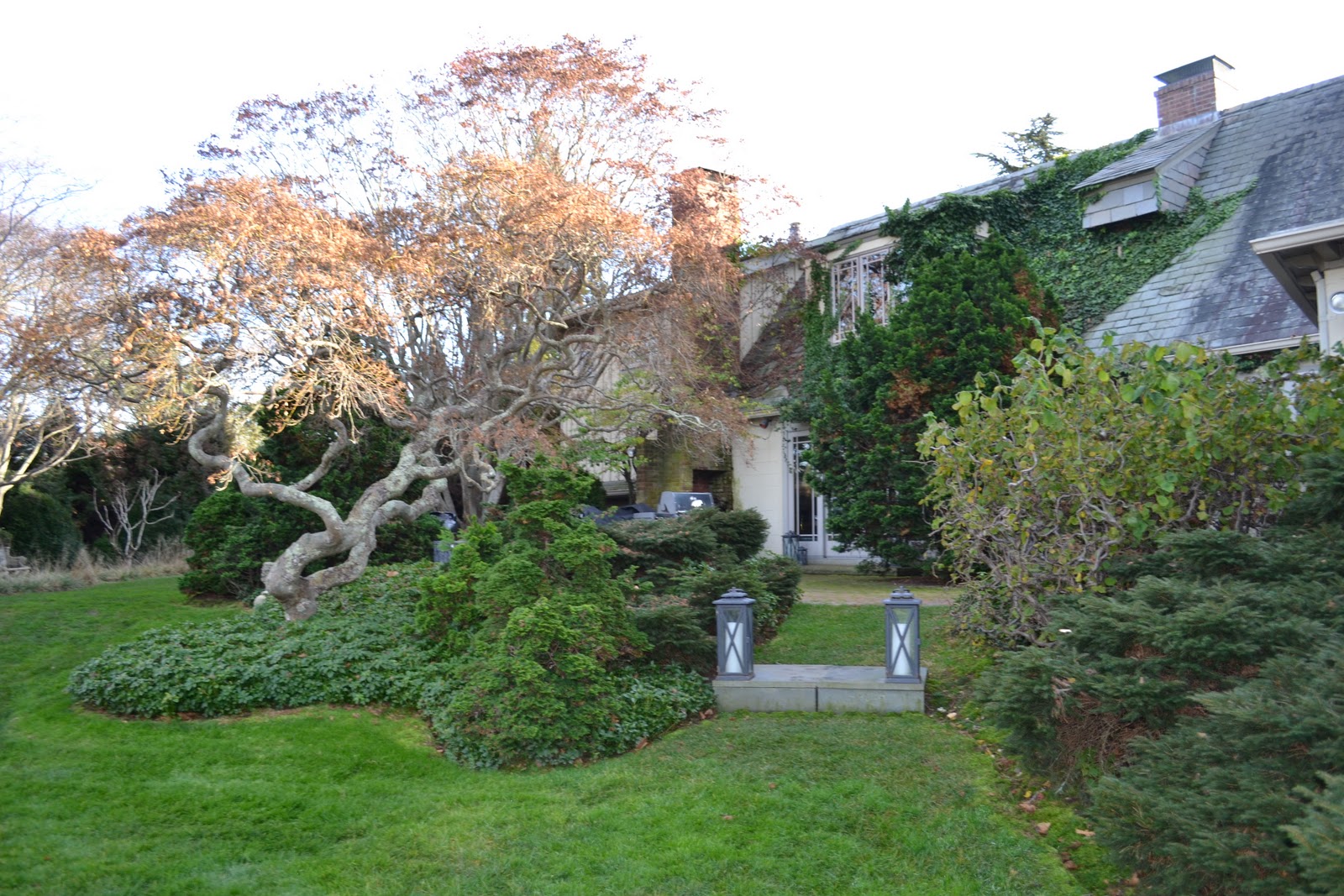 Nest by Tamara reflecting on the East Hampton Historical Society's