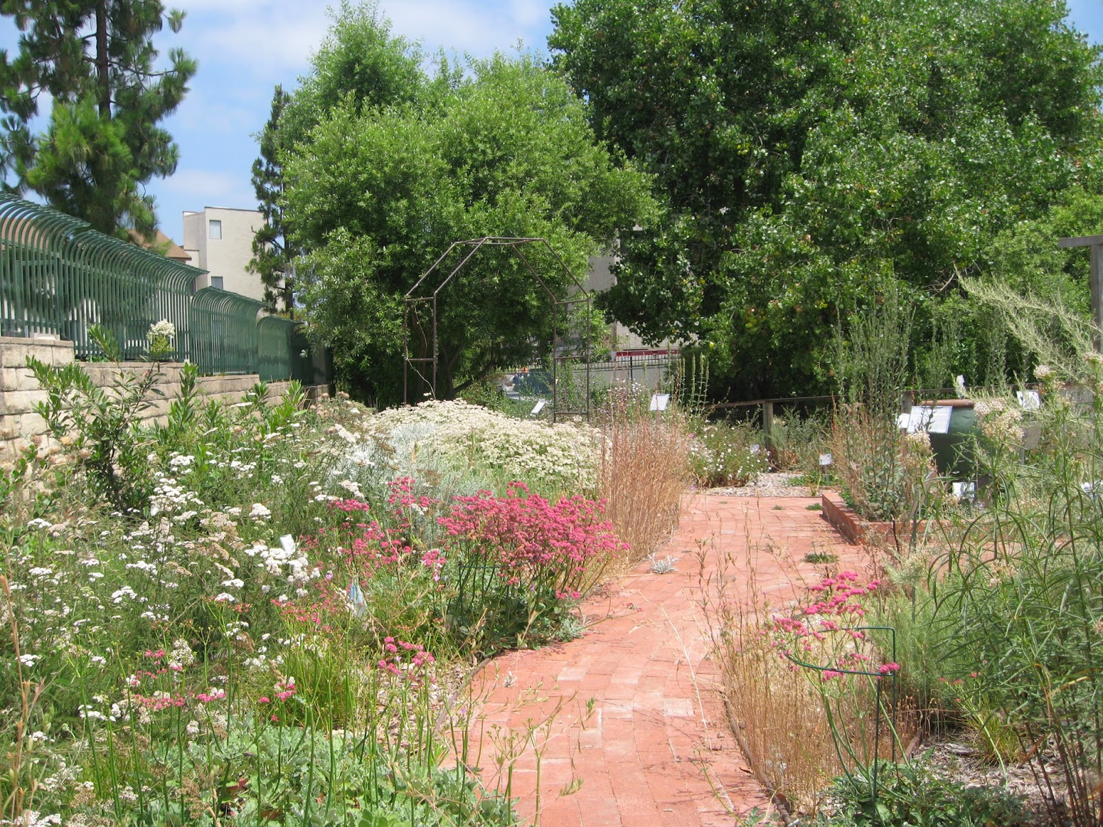 Mother Nature's Backyard A Waterwise Garden How Waterwise and Life