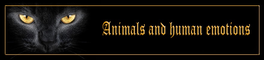 Animals and human emotions