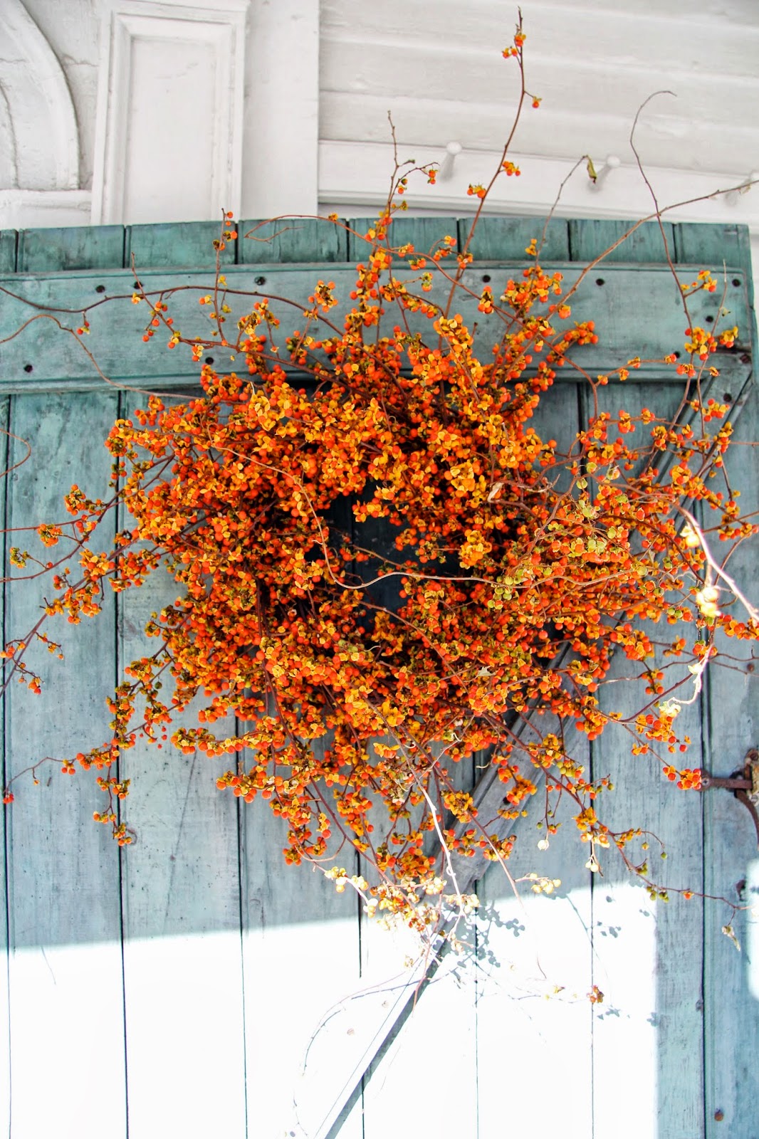 In the Fields Bittersweet