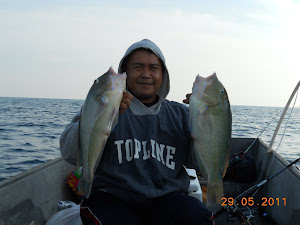 Ikan Ketarap Pulau Tasu
