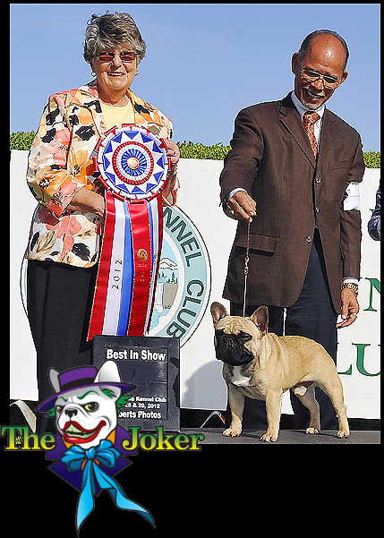 Dog Show Poop Mount Ogden Kennel Club