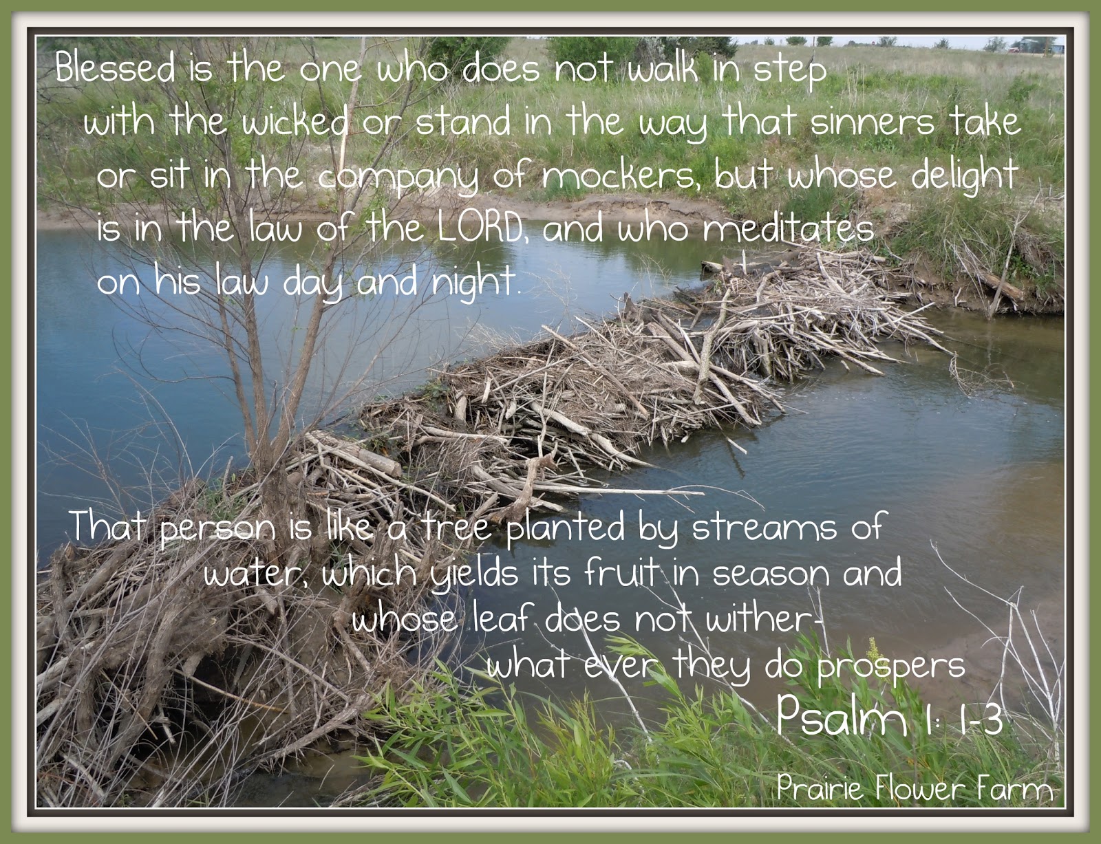 http://4.bp.blogspot.com/-AY9wwiWylsU/TeJCbbSiUhI/AAAAAAAAFBU/9m0sVdaWCBs/s1600/bible%20verse.jpg