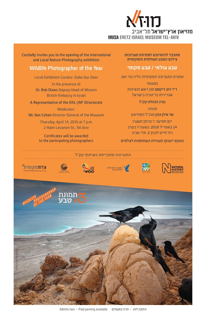 תערוכה  קבוצתית  מוזיאון ארץ ישראל אפריל -אוגוסט 2016