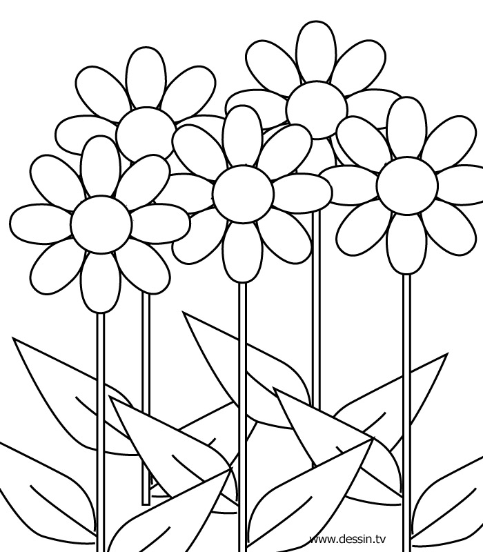 Flower Coloring Pics title=